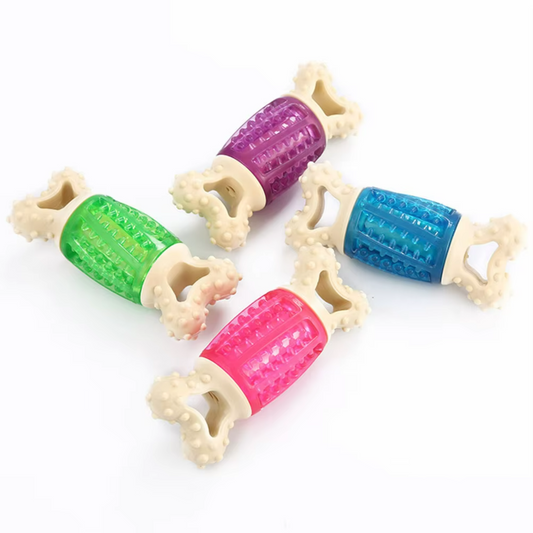 Squeaky Bone Dog Toy - Cartoon Chew Toy