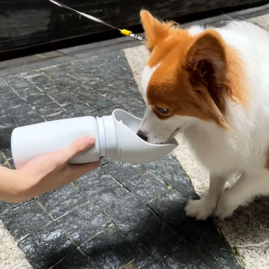 Foldable 550ml Pet Water Bottle - Travel Mug