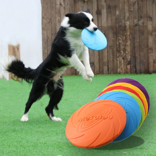 Silicone Dog Flying Disc Toy - Interactive