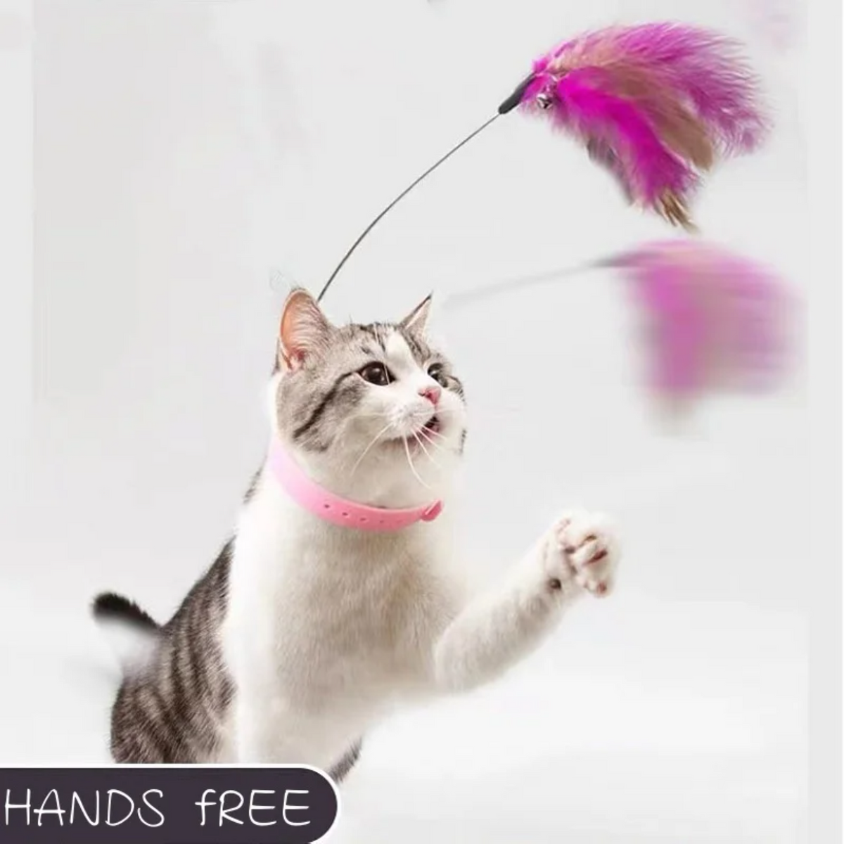 Interactive Cat Feather Teaser Wand with Bell