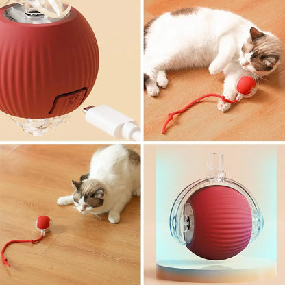 Interactive Cat Toy Ball - Electric Rechargeable