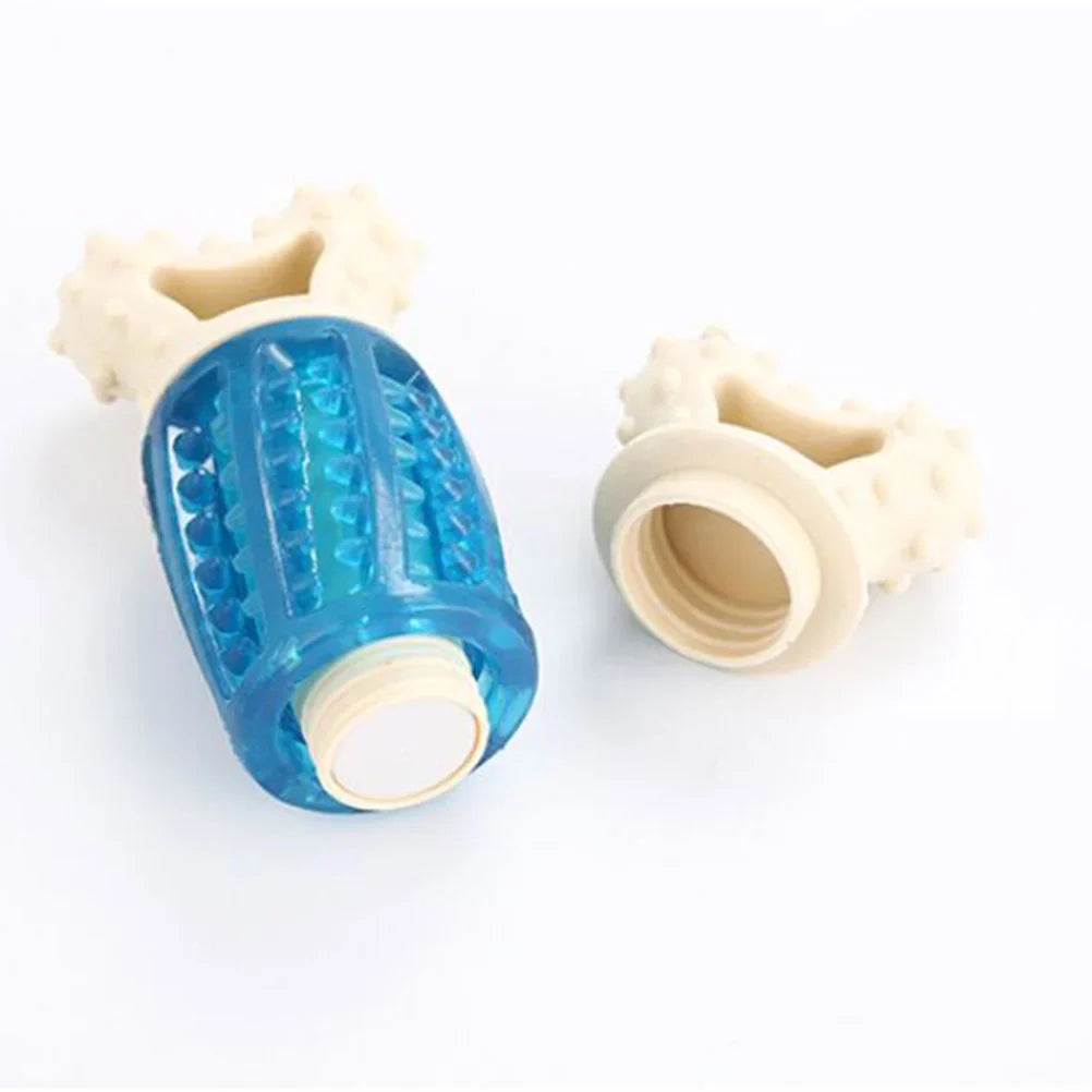 Squeaky Bone Dog Toy - Cartoon Chew Toy