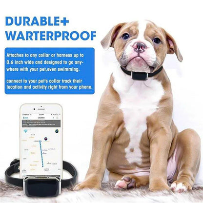 Multifunctional Pet Smart GPS Tracker G12