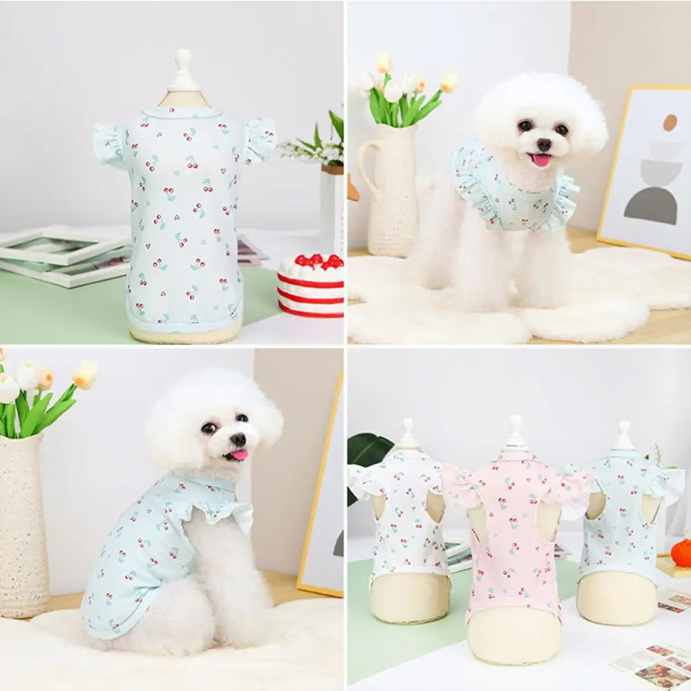 Dog T-Shirt - Round Neck Summer Outfit