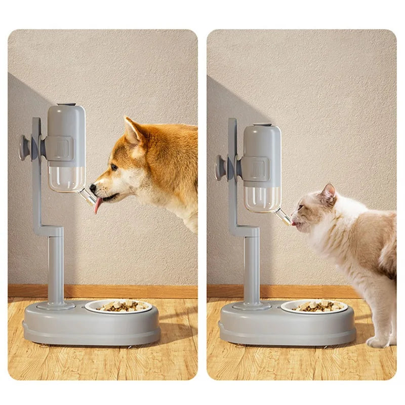 Automatic Pet Feeder & Water Dispenser Bowl