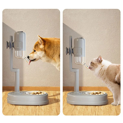 Automatic Pet Feeder & Water Dispenser Bowl