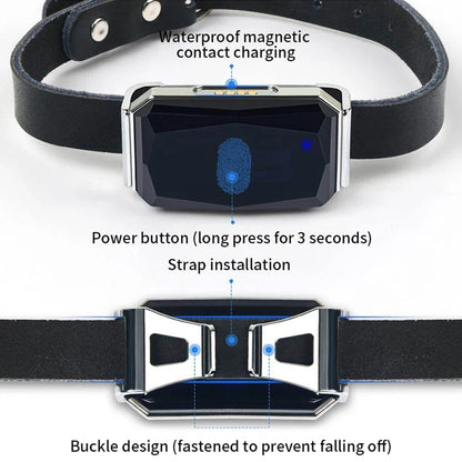 Multifunctional Pet Smart GPS Tracker G12