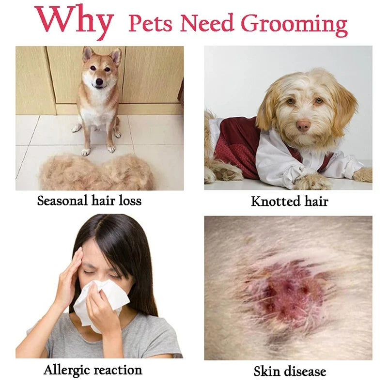Professional Pet Deshedding Brush - Dual-Head