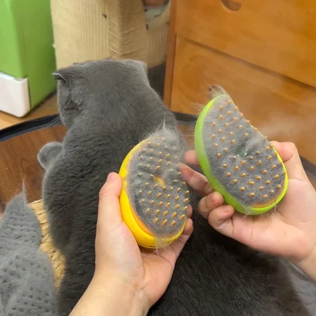 Cat Steam Brush - Electric Spray Grooming Comb