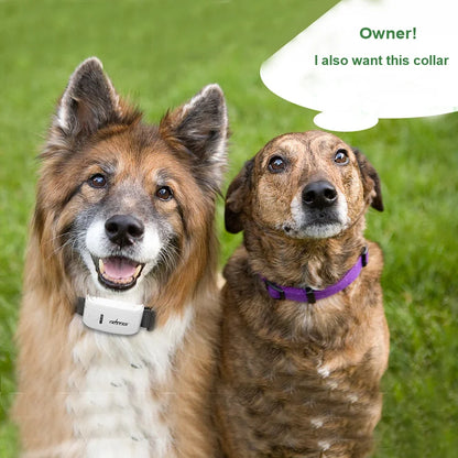 GPS Pet Tracker - GSM SMS GPRS Locator