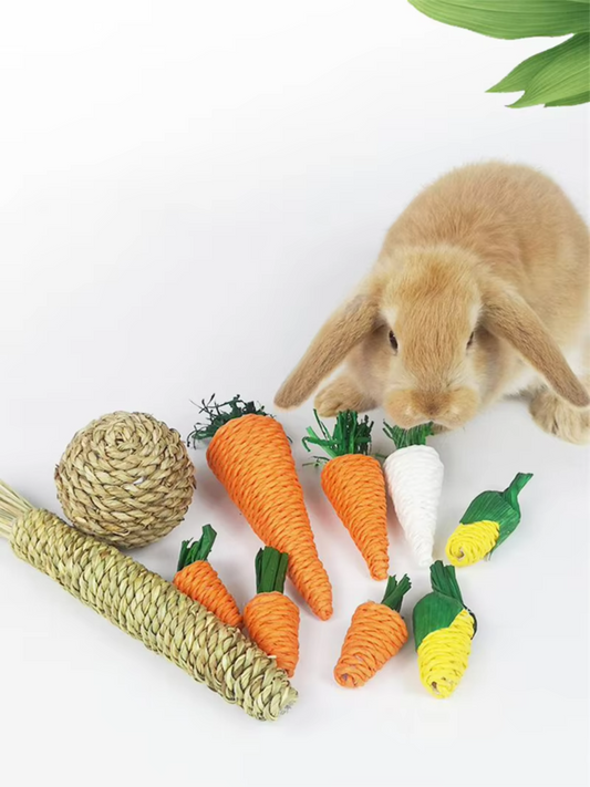 Natural Rabbit Chew Toy for Small Pets