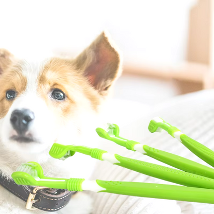 Pet Toothbrush - Multi-Angle Dental Care