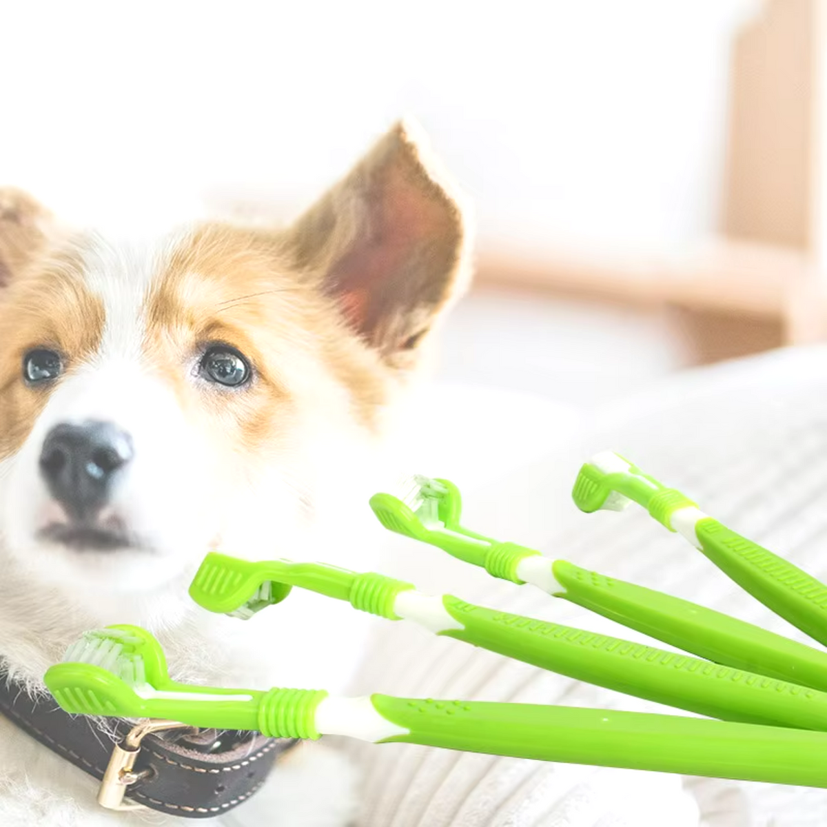 Pet Toothbrush - Multi-Angle Dental Care
